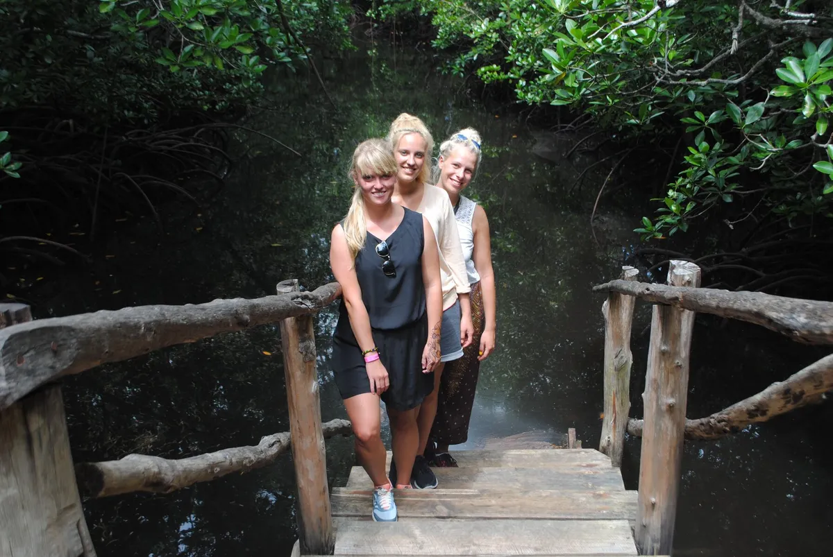 Mangroves at Chwaka Bay, Zanzibar