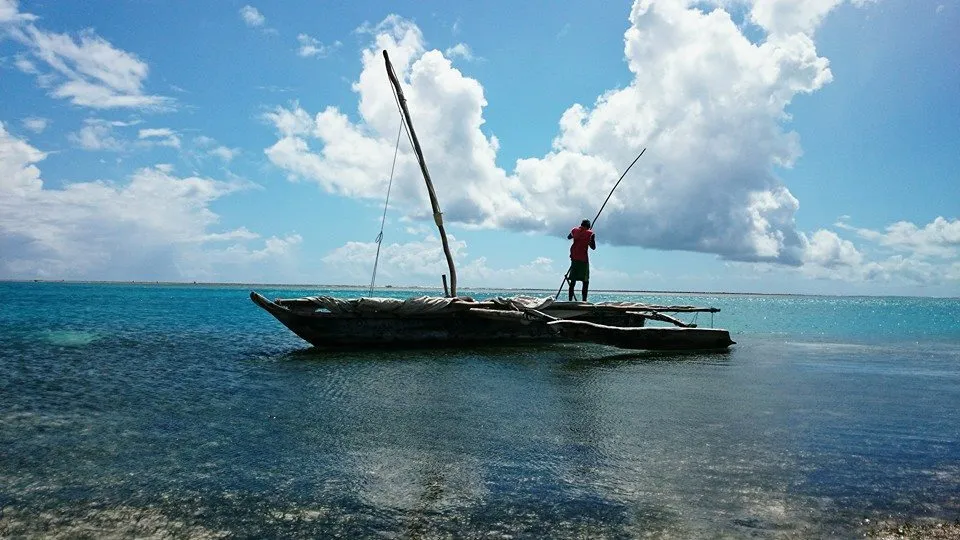 Kayaking through Zanzibar mangroves