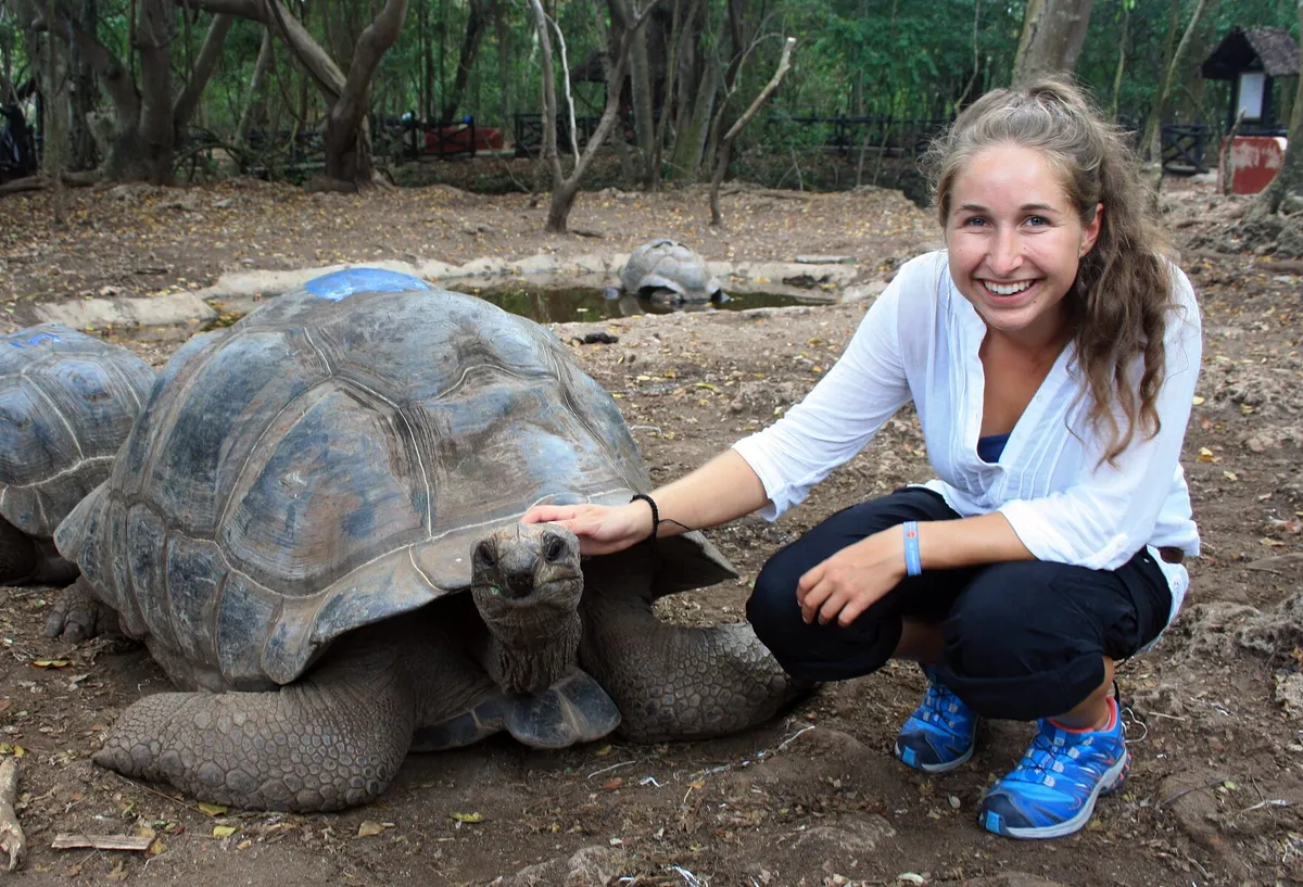 Aldabra giant tortoise on Prison Island
