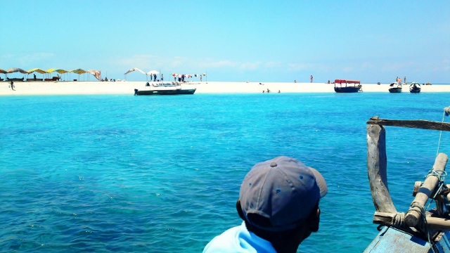 Sandbank Picnic