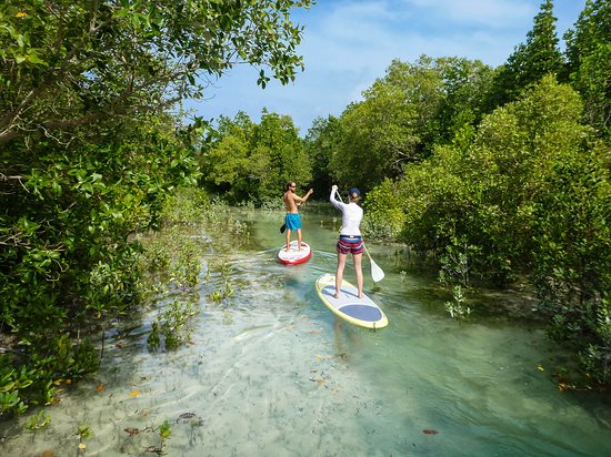Stand-Up Paddling Adventure - 3