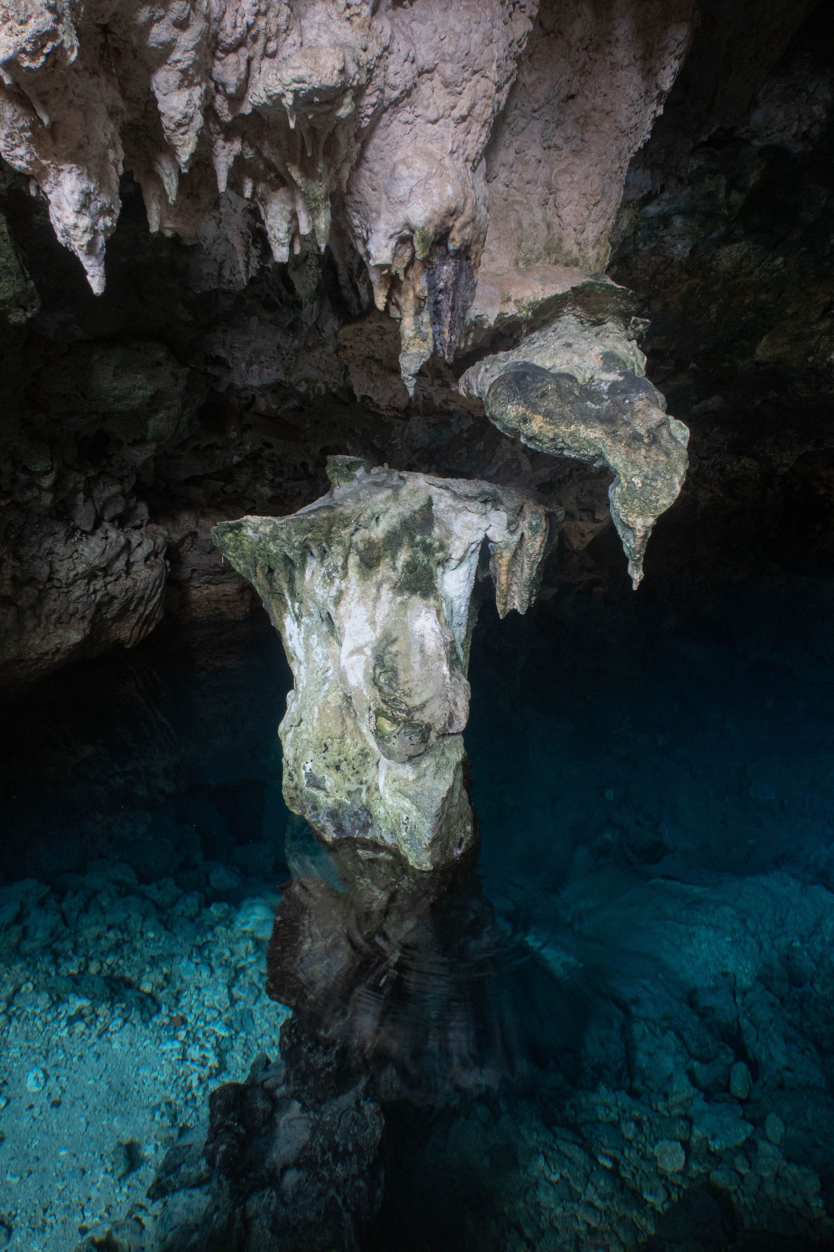 Zanzibar Cave Exploration - 1