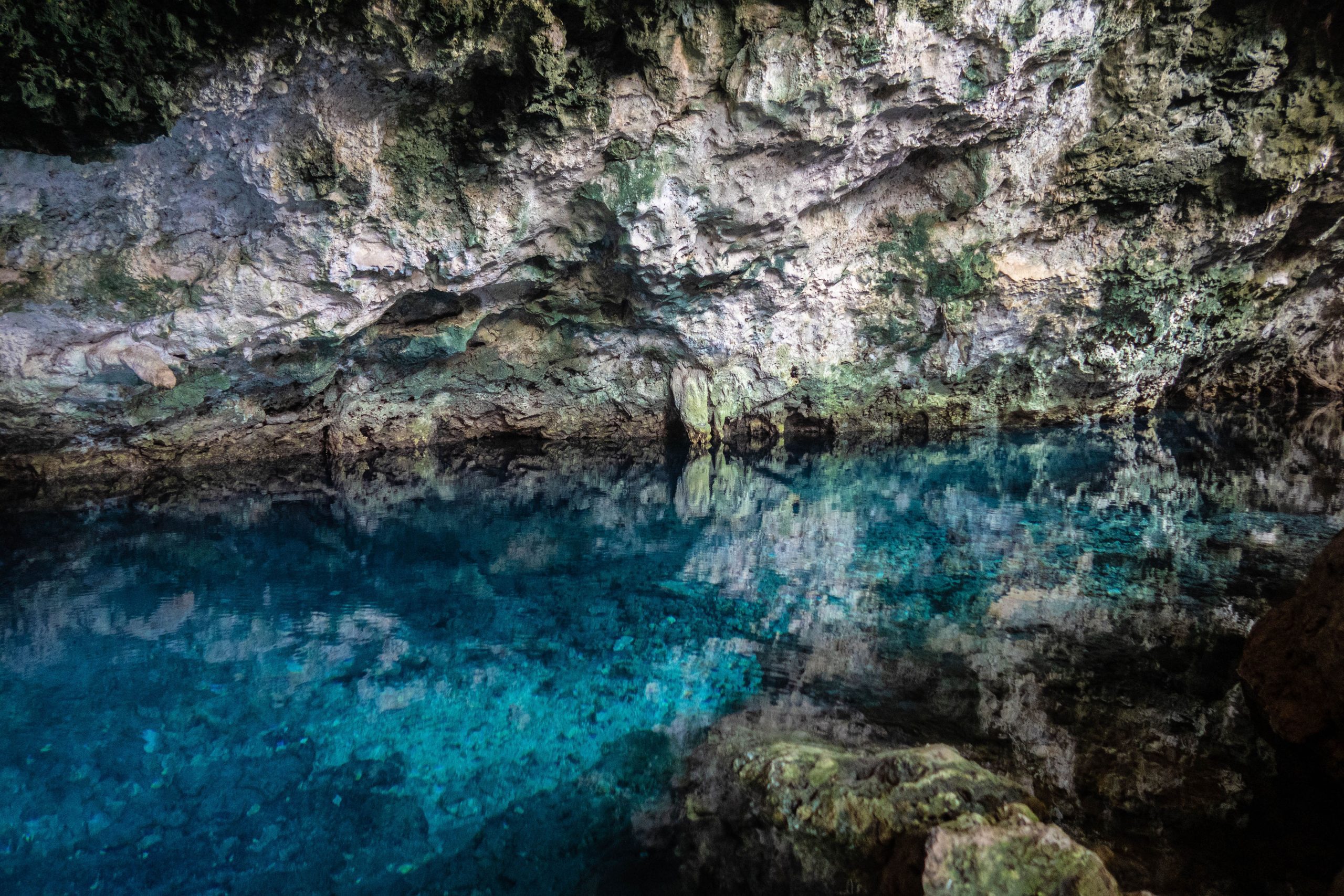 Zanzibar Cave Exploration - 3