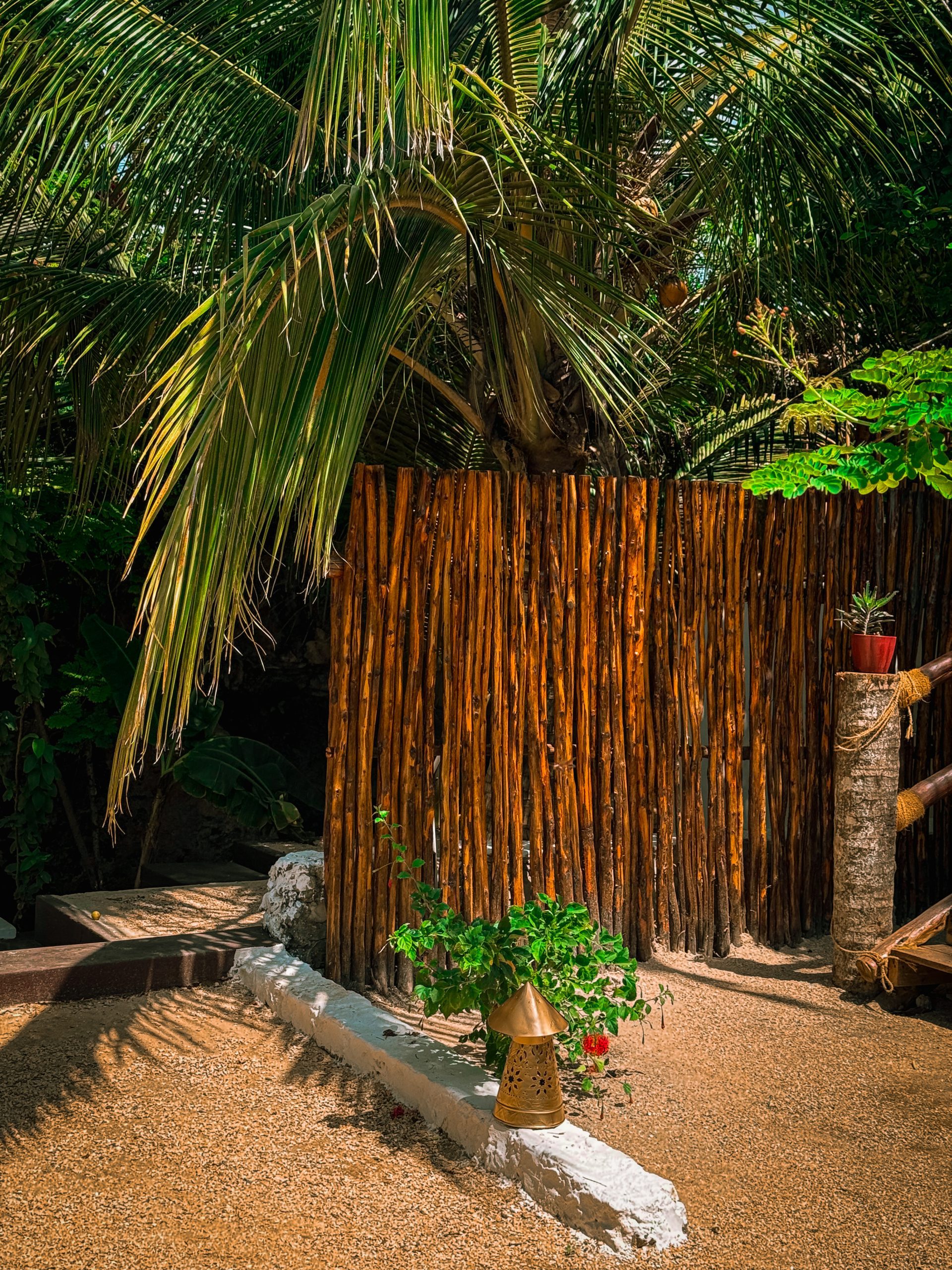 Zanzibar Cave Exploration - 13